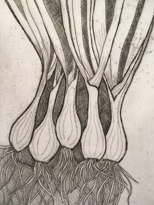 Etching depicting spring onions