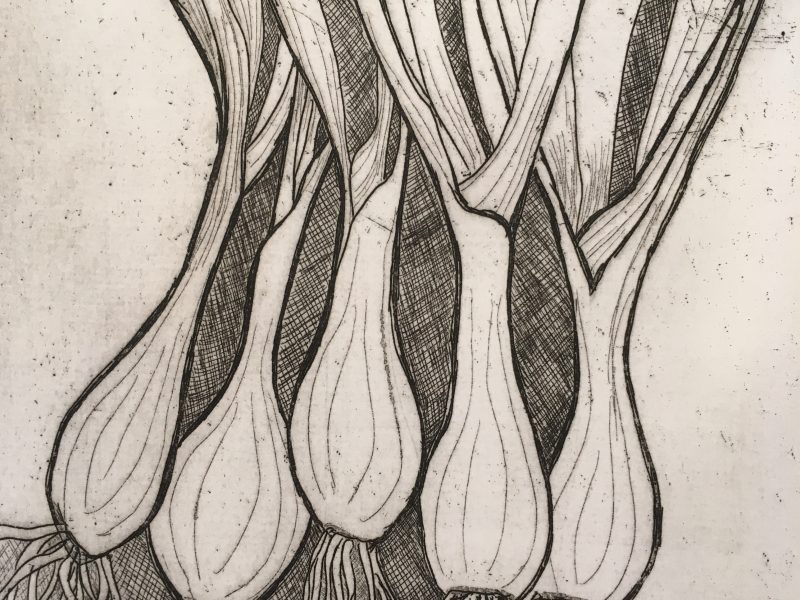 Spring Onions – Etching and Aquatint