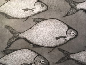 seabass etching by Alice Morgan